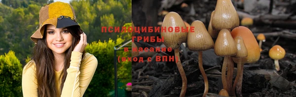 спиды Майский