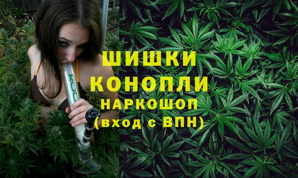 гашик Лиски