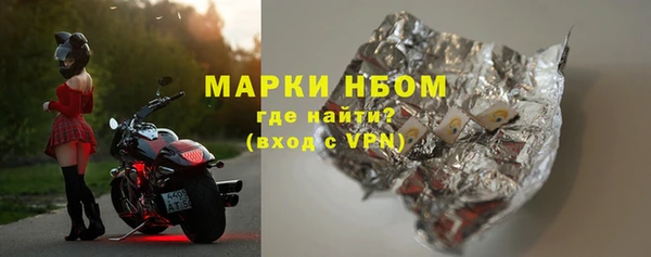 твердый Магас
