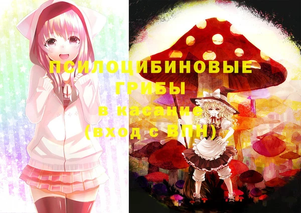 гашик Лиски