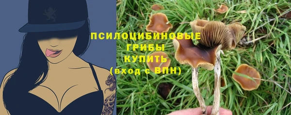 гашик Лиски