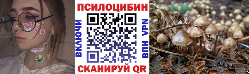 купить наркотик  Новоуральск  Псилоцибиновые грибы MAGIC MUSHROOMS 