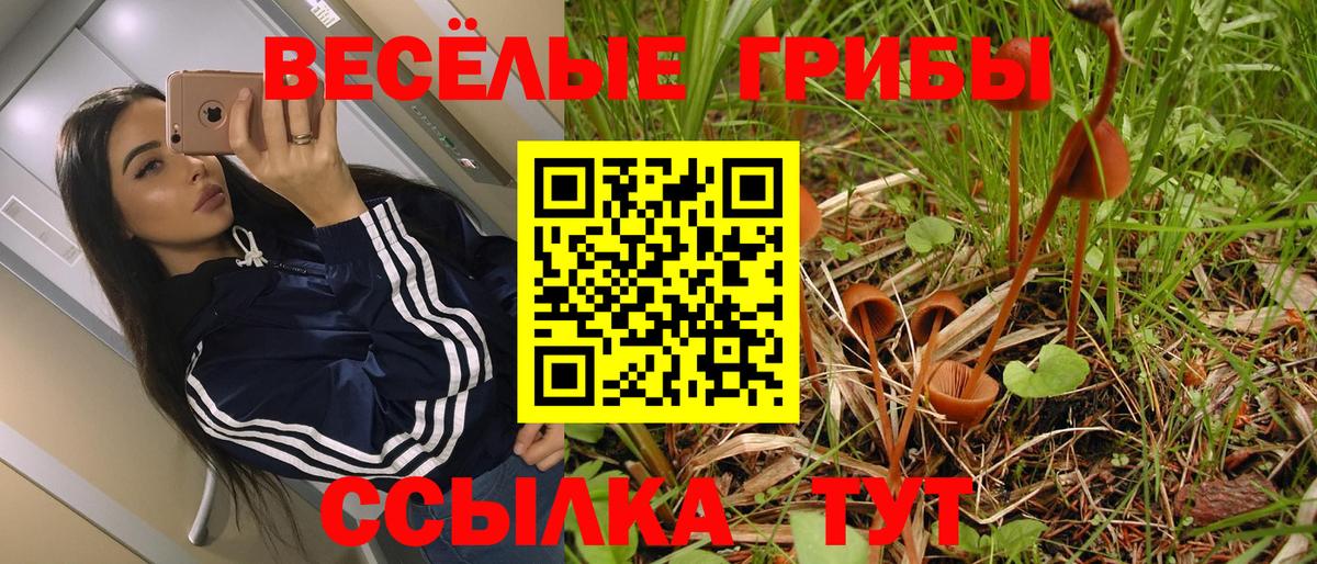 Псилоцибиновые грибы Magic Shrooms  где можно купить   Новоуральск  Галлюциногенные грибы GOLDEN TEACHER  Вход с VPN 